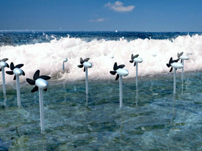 Sea power. Image courtesy OIST Graduate University