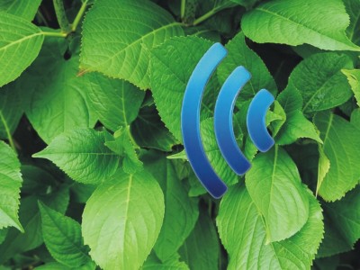 Plantenna ― towards an Internet of Plants