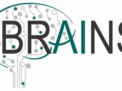 BRAINS Center: Brain Inspires Nanotechnology