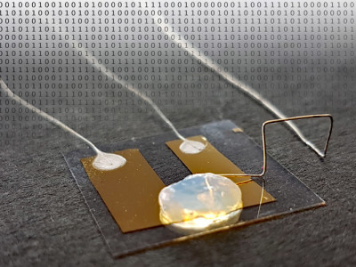 KIT develops a single-atom transistor