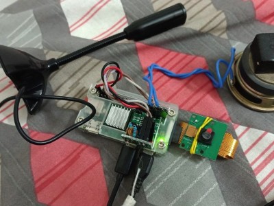 Voice Interaction with Raspberry Pi Zero