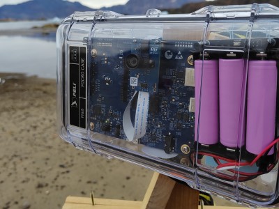 Arctic Wildlife Monitoring Using Edge AI