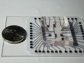 Das „Labor-auf-einem-Chip“ besteht aus einem preisgünstigen transparenten Silkonträger und einem gedruckten Elektronik-Streifen.
