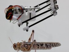 Spring Roboter: Original und Kopie