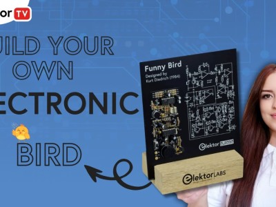 Bauen Sie Ihren eigenen elektronischen Funny Bird!