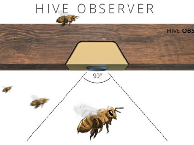 Beela Hive Observer
