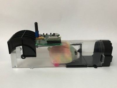 mymouse.jpg