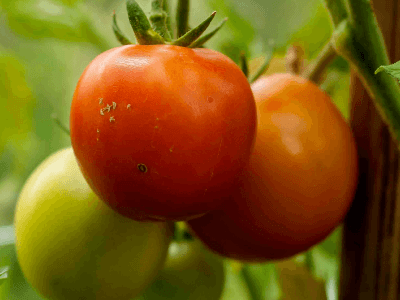 thumb-20191001171314.png