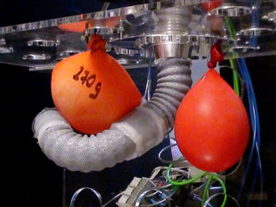 De fragiles ballons d'eau ont été utilisés lors des tests.