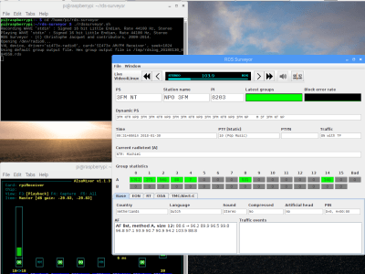 Screen dump RDS Surveyor using HDMI Screen dump RDS Surveyor using HDMI