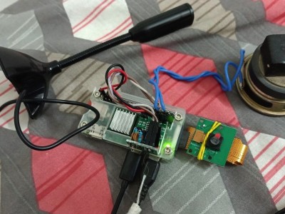 Interazione Vocale con Raspberry Pi Zero