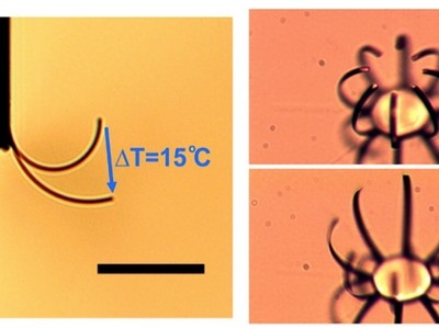 Buigbare vingers voor microrobots