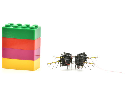 Robotische Insecten Breken Records in Vliegprestaties