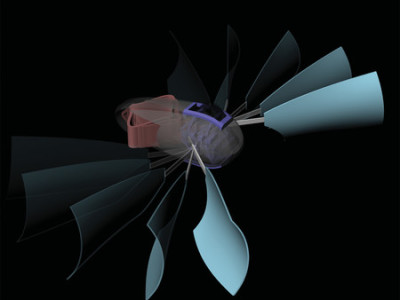 Artist’s impression van de nieuwe robot die de deformatie van materialen gebruikt om zich door water voort te bewegen (afbeelding: Tian Chen en Osama R. Bilal).