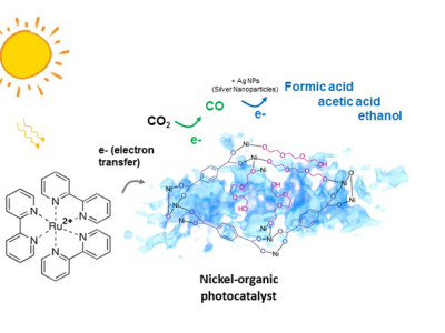 De nikkel/organische katalysator zet CO2 exclusief om in CO dat tot hoogwaardige vloeibare brandstoffen kan worden omgezet (afbeelding: Kaiyang Niu en Haimei Zheng / Berkeley Lab).