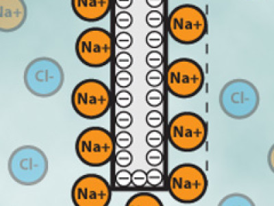 Figure 3 Ions at the electrode walls