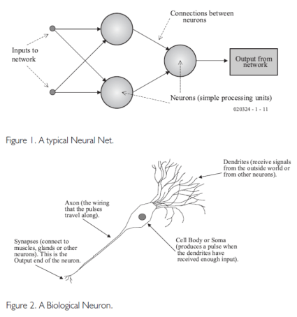 Neural net and bio