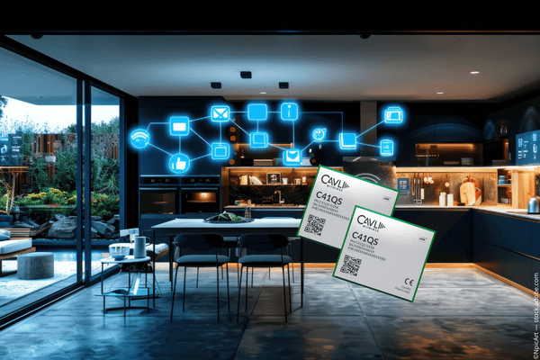 CODICO et CAVLI WIRELESS renforcent la connectivité IoT