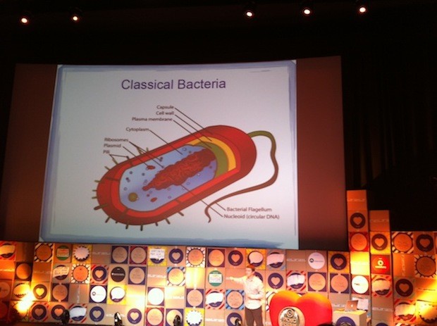 Cathal Garvey Classical Bacteria