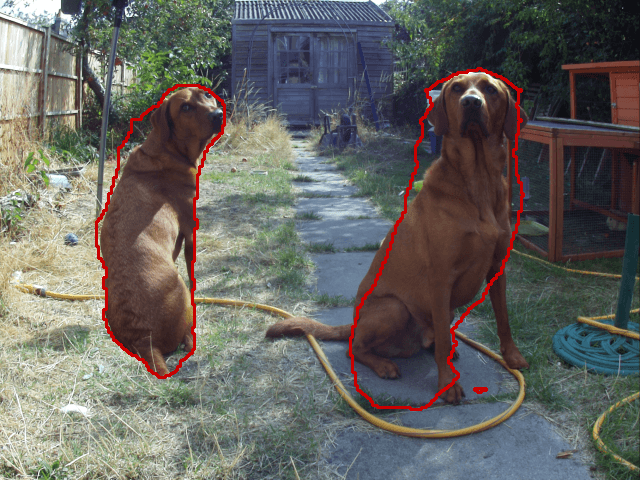 Dogs detected by Picamera2 and TensorFlow