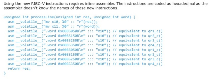 RISC-V instructions.