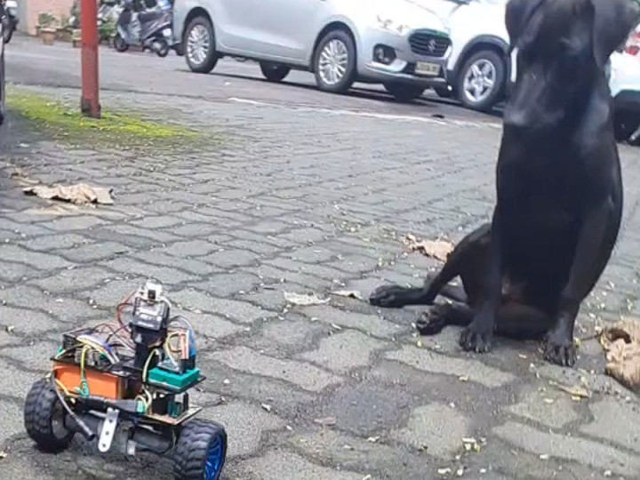 Dog with self-balancing mobile robot