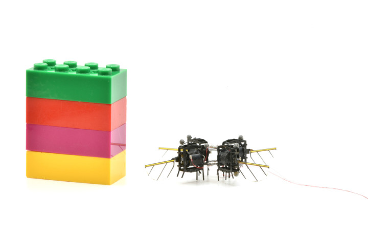 MIT robotic insect next to LEGO block