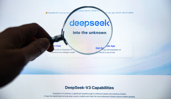 DeepSeek website home page seen through a magnifying glass