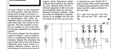 horse paces simulator
