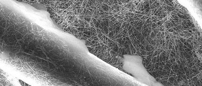 Du coton électrique pour filtrer l'eau