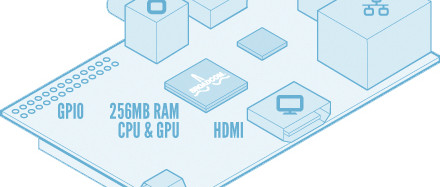 Tarte aux framboises pour tout le monde (entretien)
