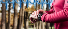 Wristwatch Heart Monitor