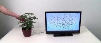 You Can Have Green Fingers Too