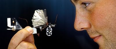 DelFly, the Autonomous Robot Dragonfly