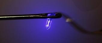Tiny Injectable LEDs Help Neuroscientists Study the Brain