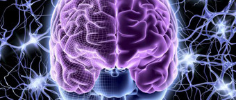 Immortalité cybernétique : tout un planning...