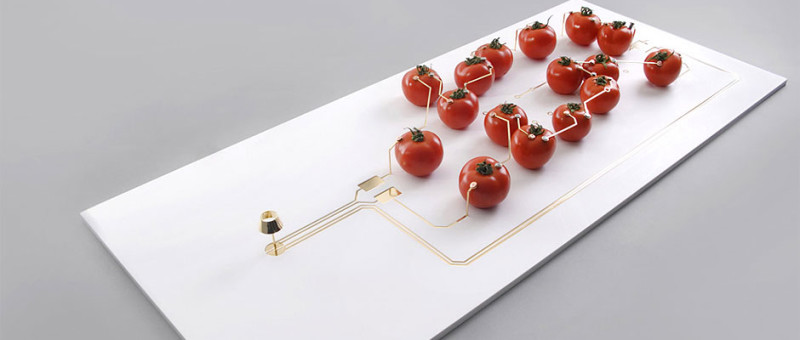 Tomato Powered LED