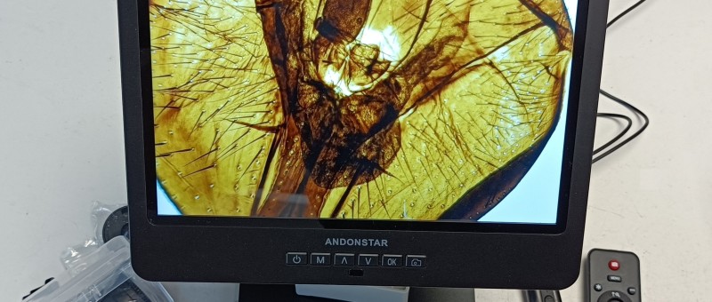 Review: The Andonstar AD249S-M Digital Microscope Magnifies Up To 2040 Times