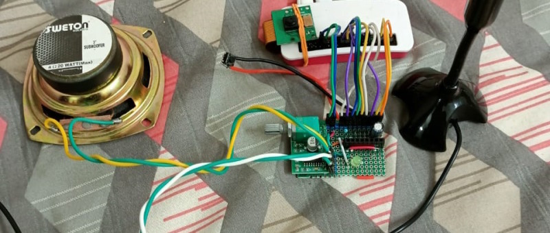 Exploring Speech Functions on Raspberry Pi Zero