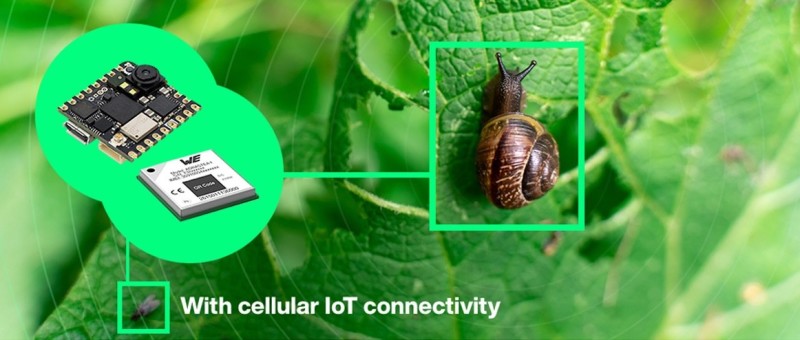 ML-Based Pest Detection