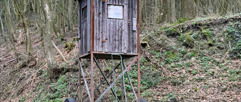 Prototype Segway Barn-Find