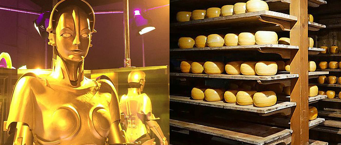 Dutch cheese-maker robot