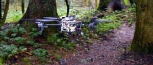 AI drones can see the wood for the trees