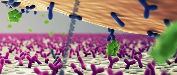 Sensor technology enables live monitoring of biomolecules