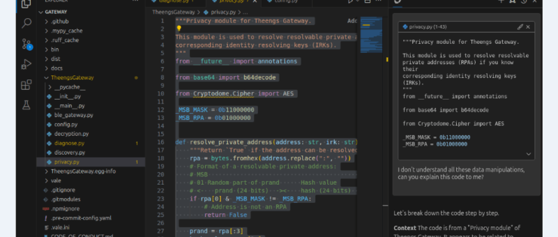 An AI Code Assistant for Rapid Development