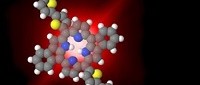 Electrons converted to plasmons with only one molecule