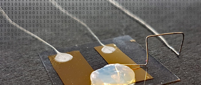 KIT develops a single-atom transistor