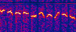 Spectrum-Explorer: VB.net Spectrum-Versus-Time Analyzer für den Arduino-Datalogger