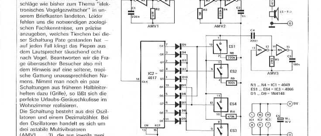 Seltener Vogel (Vogelstimmen-Generator)