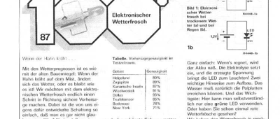 Elektronischer Wetterfrosch (Scherz)